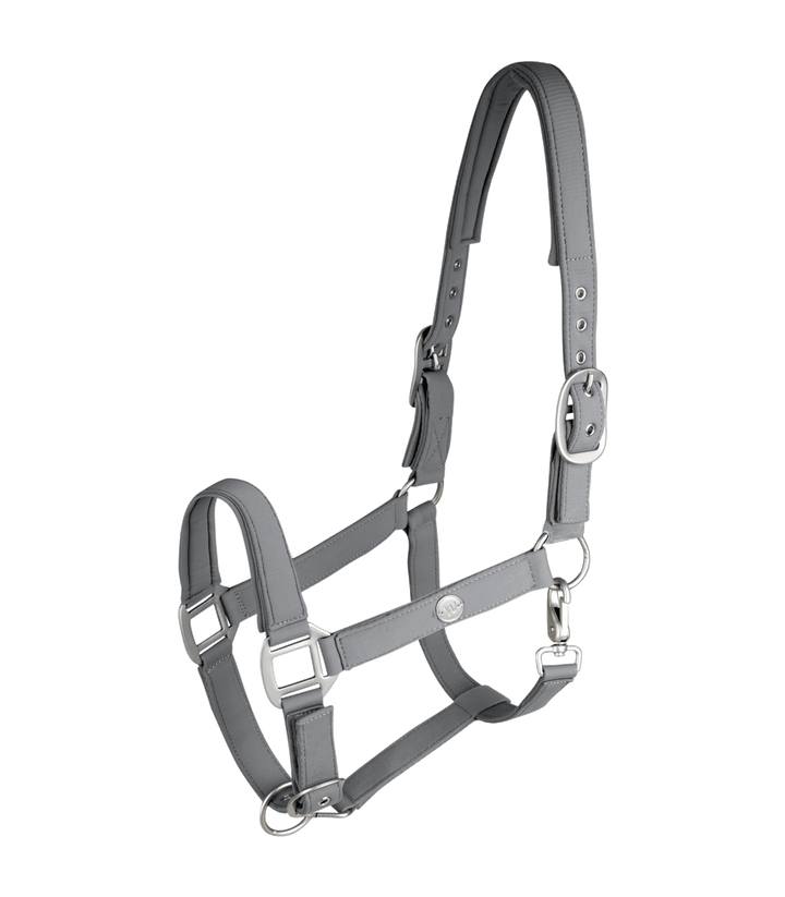 Waldhausen Trinidad grime