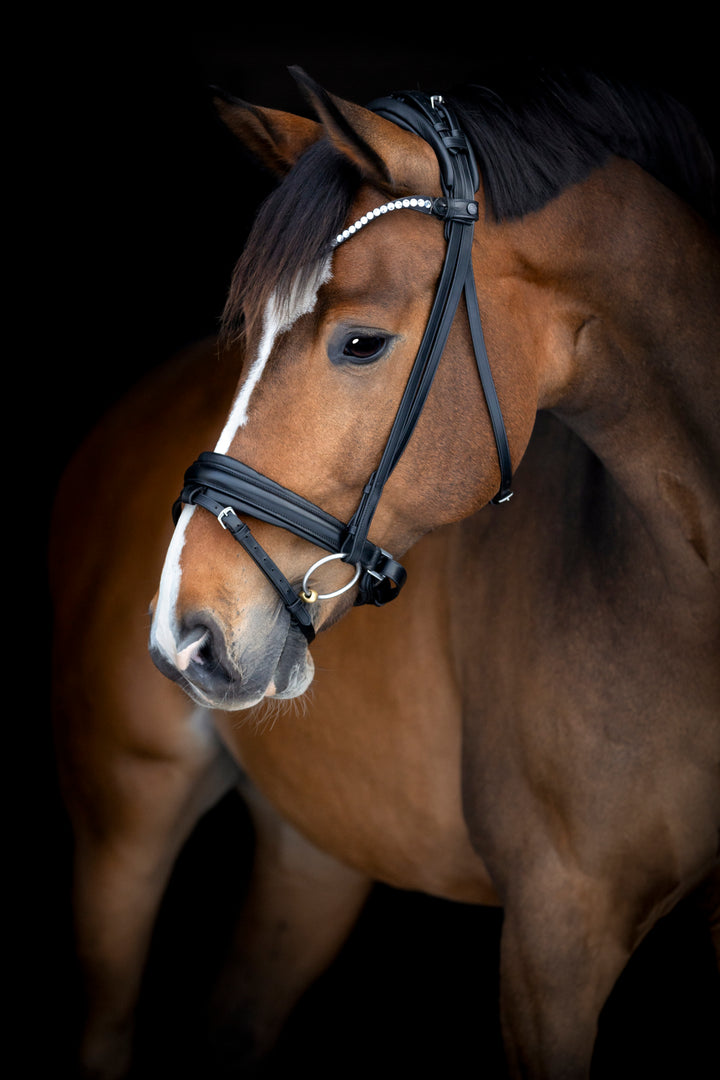 Catago Arlington trense