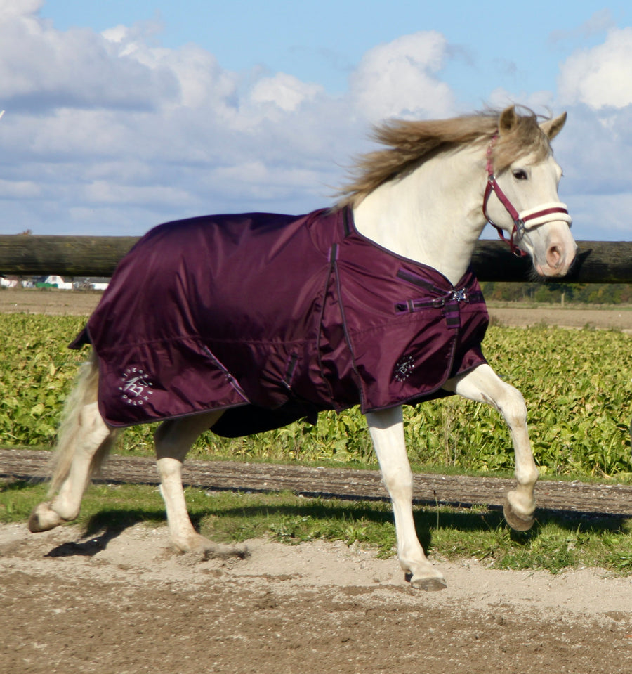 RD EquiComfort V Turnout dækken inklusiv hals og liner 100g + 200g +300g