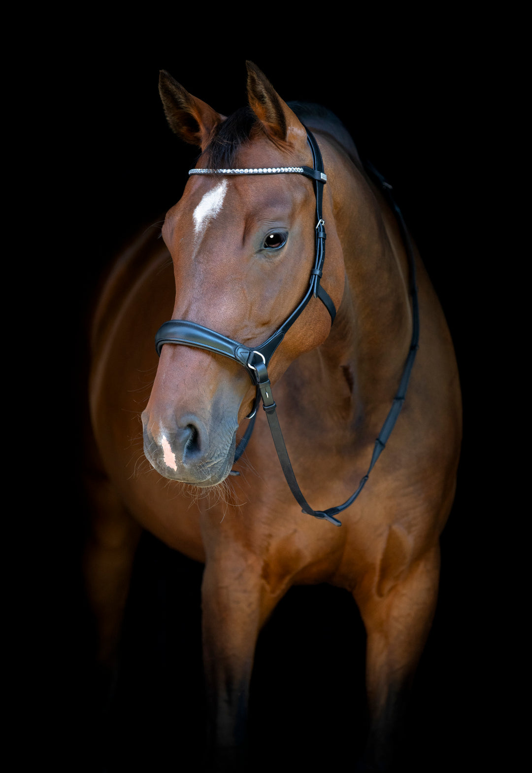 HorseGuard Bidløs trense