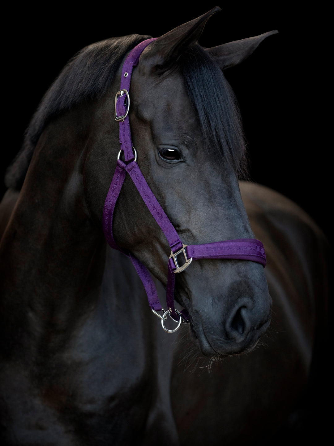 HorseGuard Diya 2.0 grime