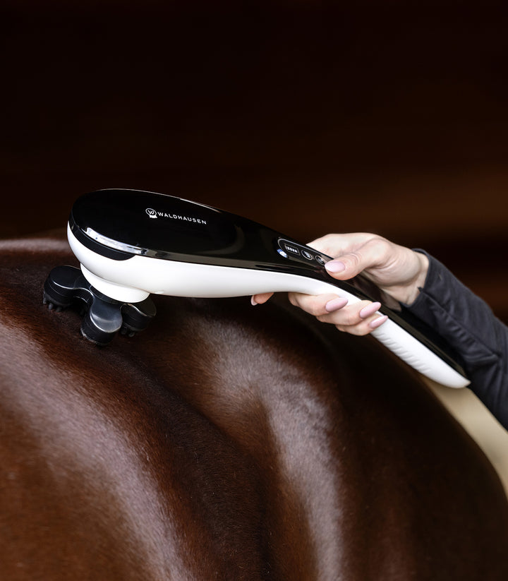 Waldhausen Super Dandy Go Anywhere massage