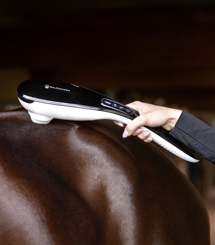 Waldhausen Super Dandy Go Anywhere massage