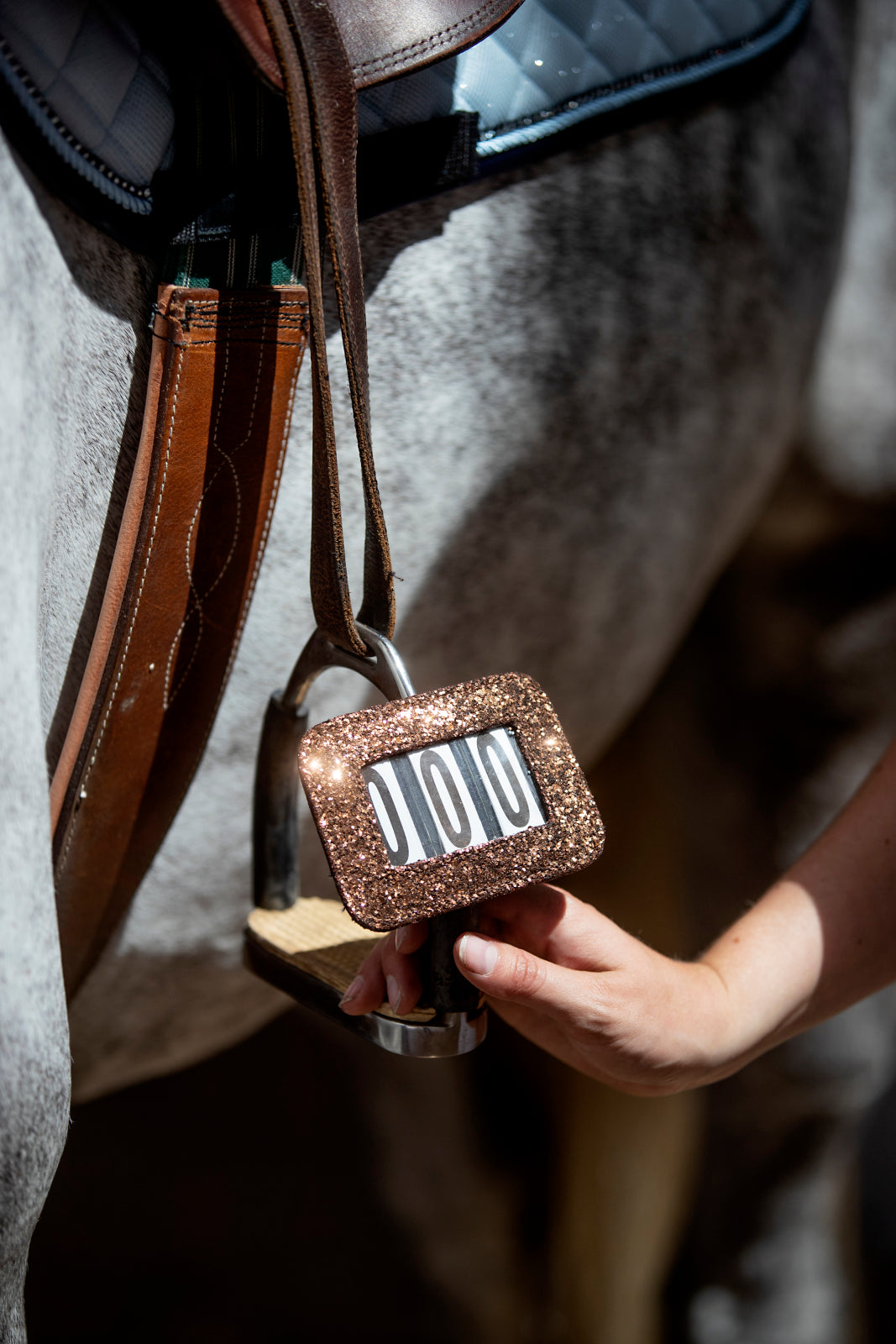 HorseGuard Stævnenummer