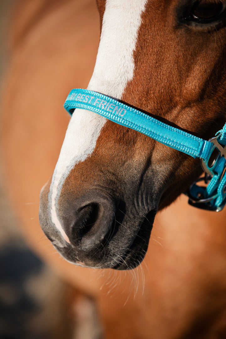 HorseGuard Malva grime med tekst