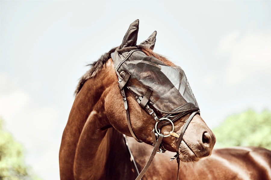 HorseGuard Ridemaske med øre