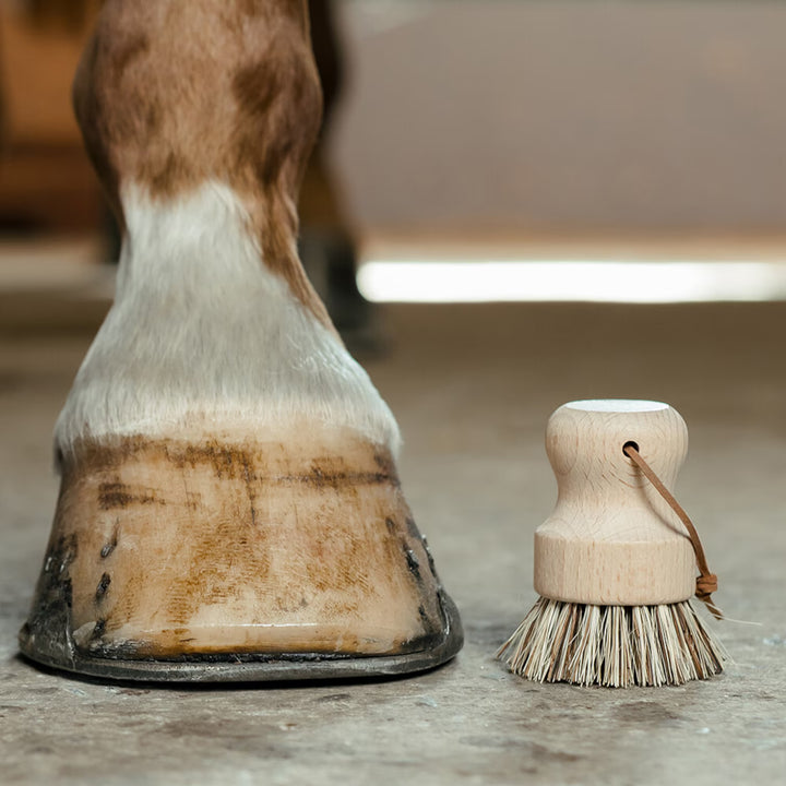 Borstiq Farm rund hovbørste