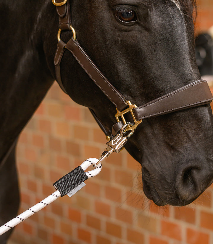 Waldhausen opbindningsstrop