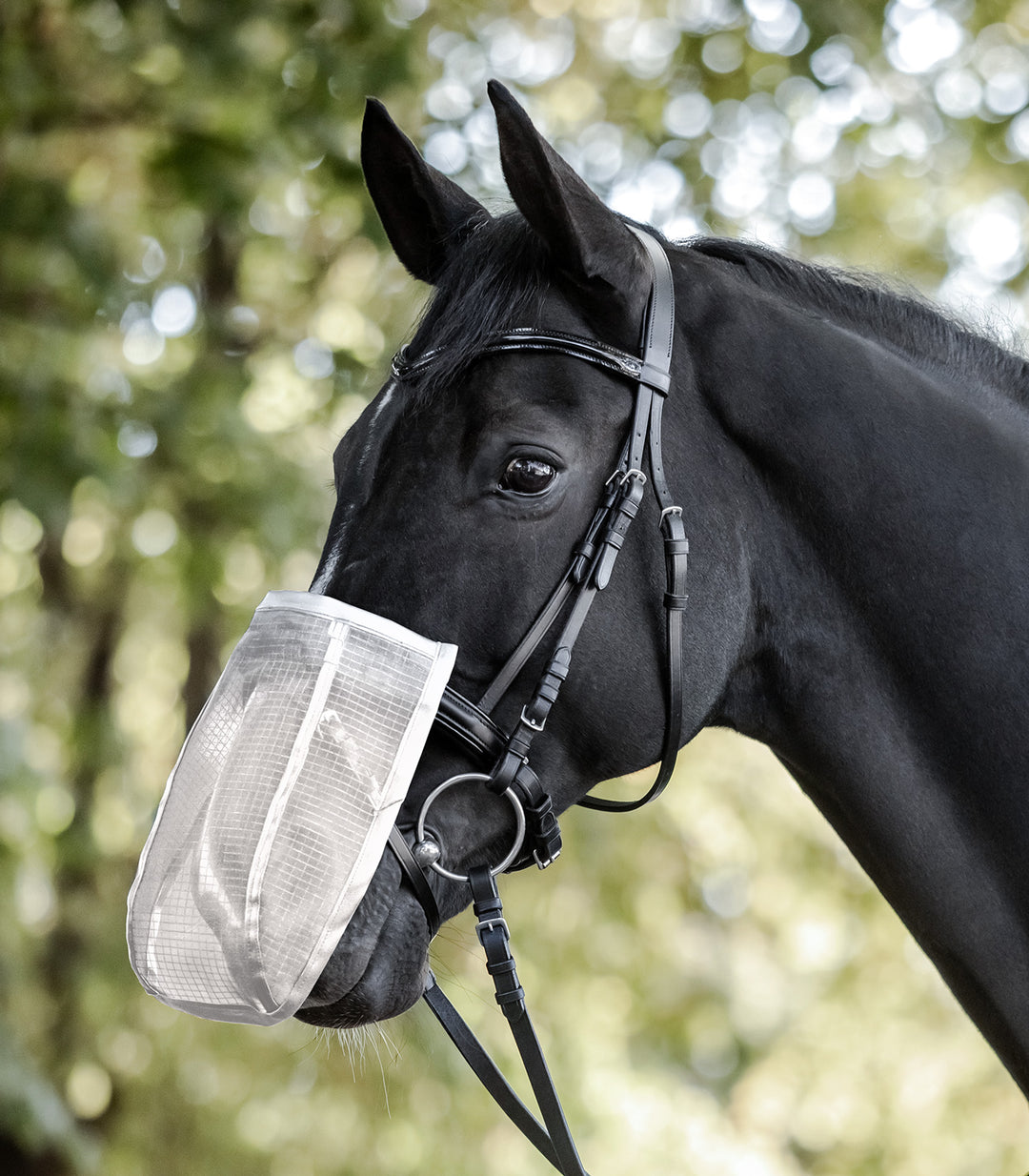 Waldhausen Nose Fly Shield UV mulebeskytter