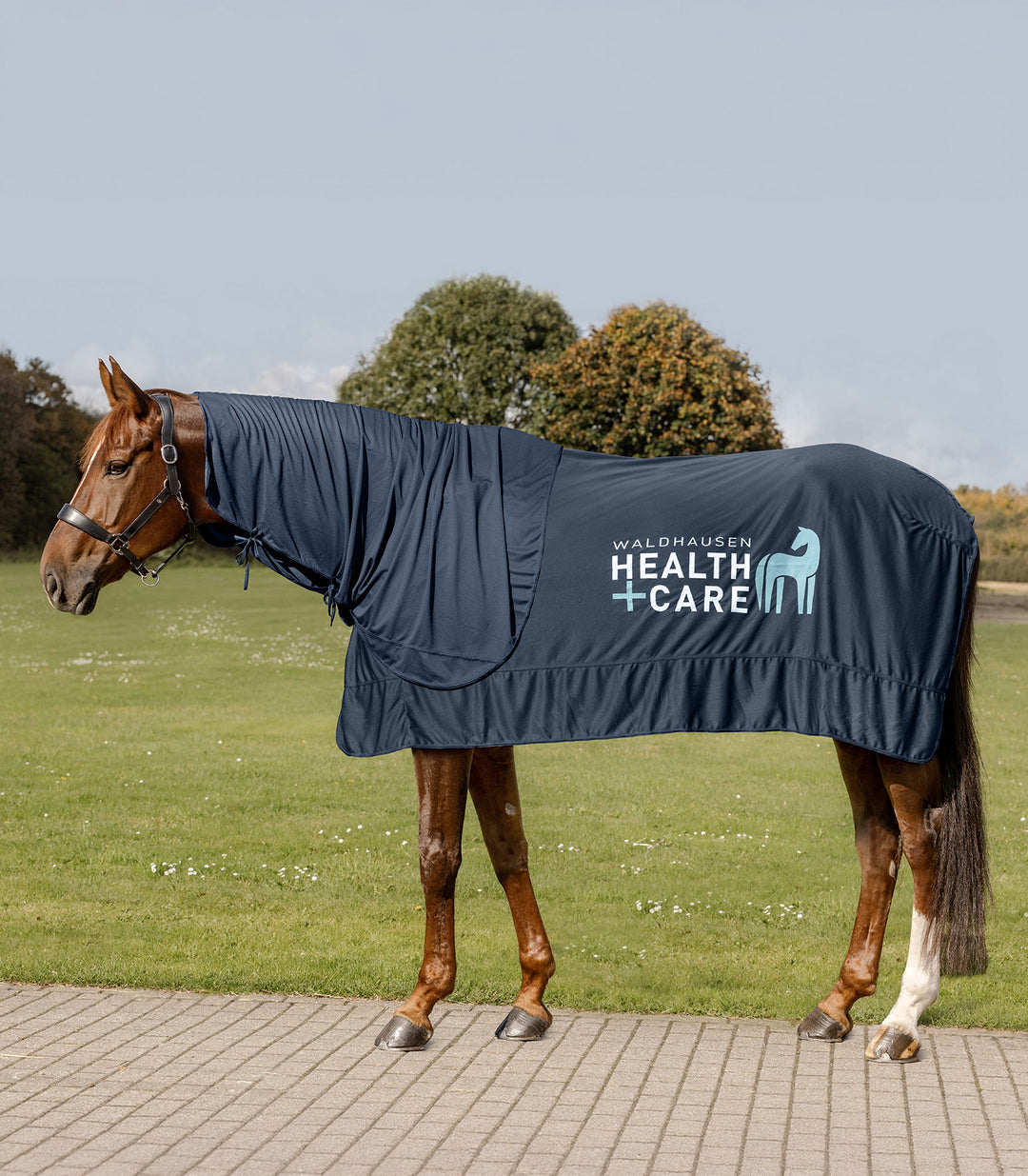 Waldhausen Health & Care Ice Layer køledækken