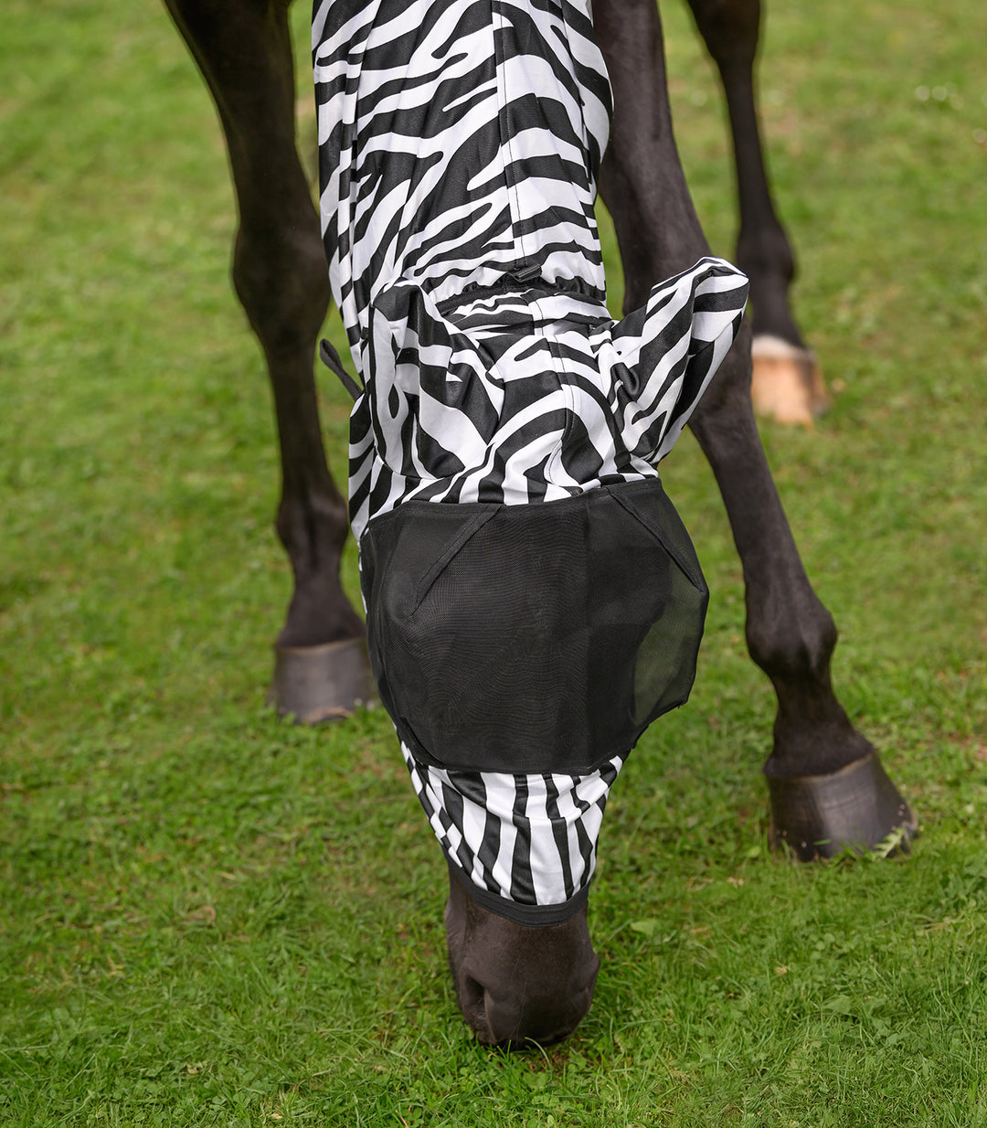 Waldhausen Zebra Eczema fluemaske