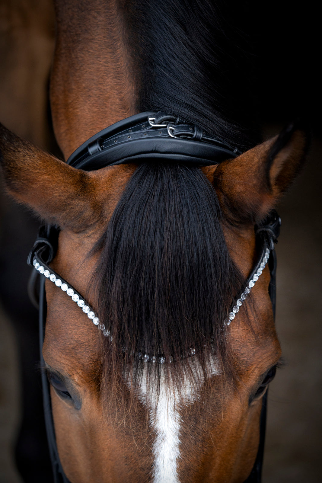 Catago Arlington trense