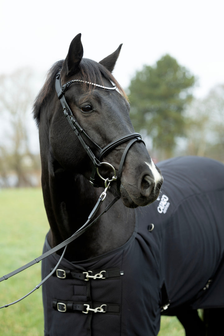 Catago Arlington trense