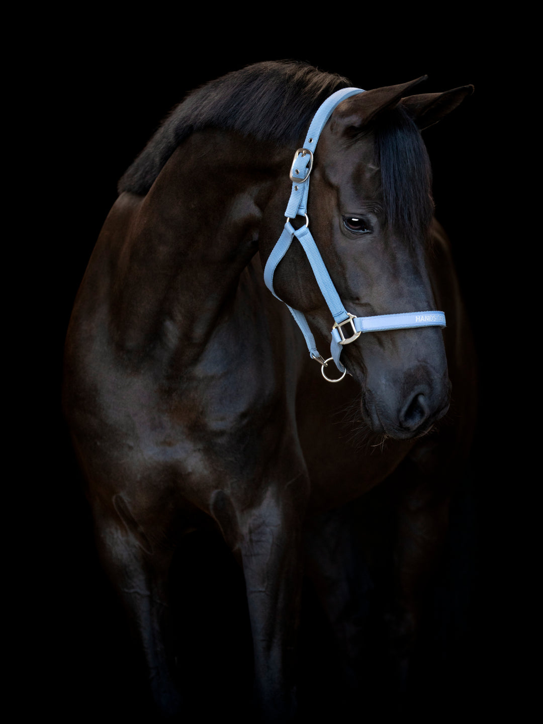 HorseGuard Malva grime med tekst