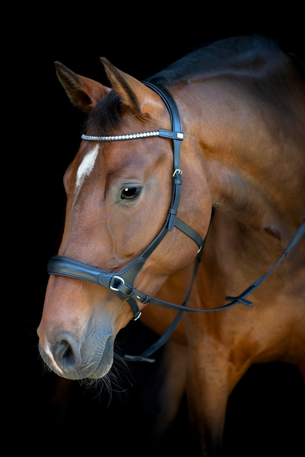 HorseGuard Bidløs trense