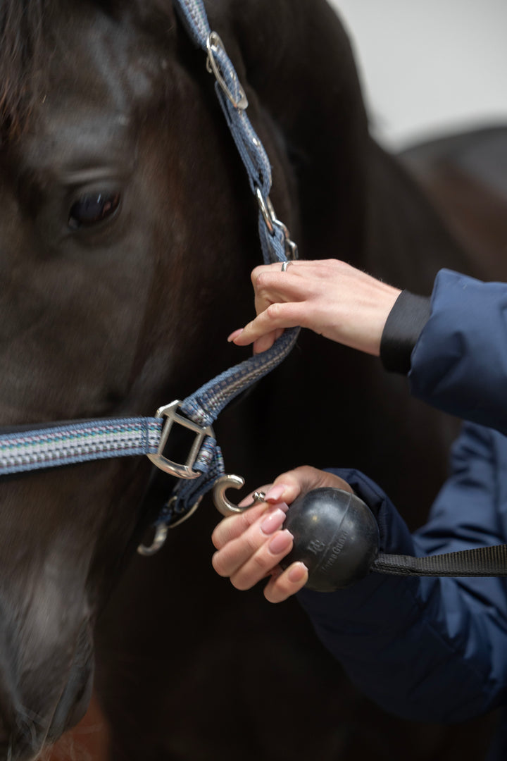 HorseGuard opbindingsstrop med gummikugle