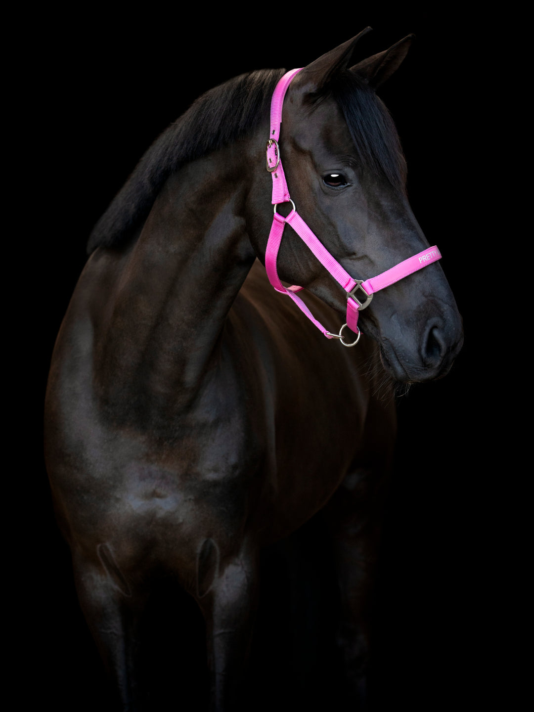 HorseGuard Malva grime med tekst