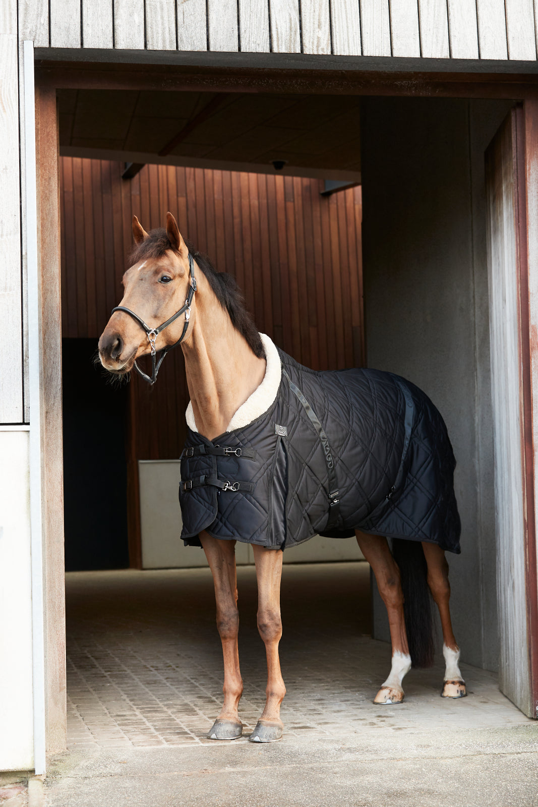 Catago FIR-Tech Quilt stalddækken