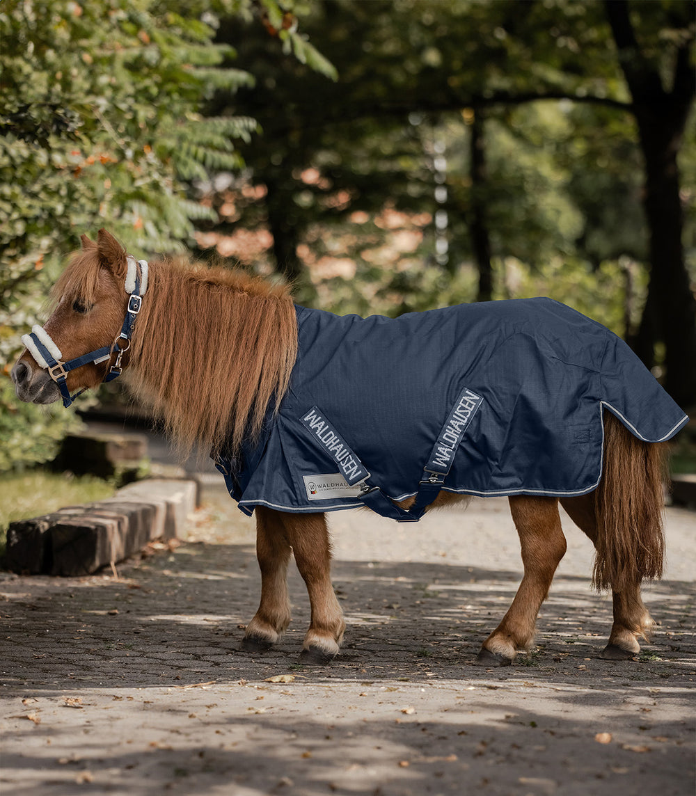 Waldhausen Comfort Shetty overgangsdækken, 100 g