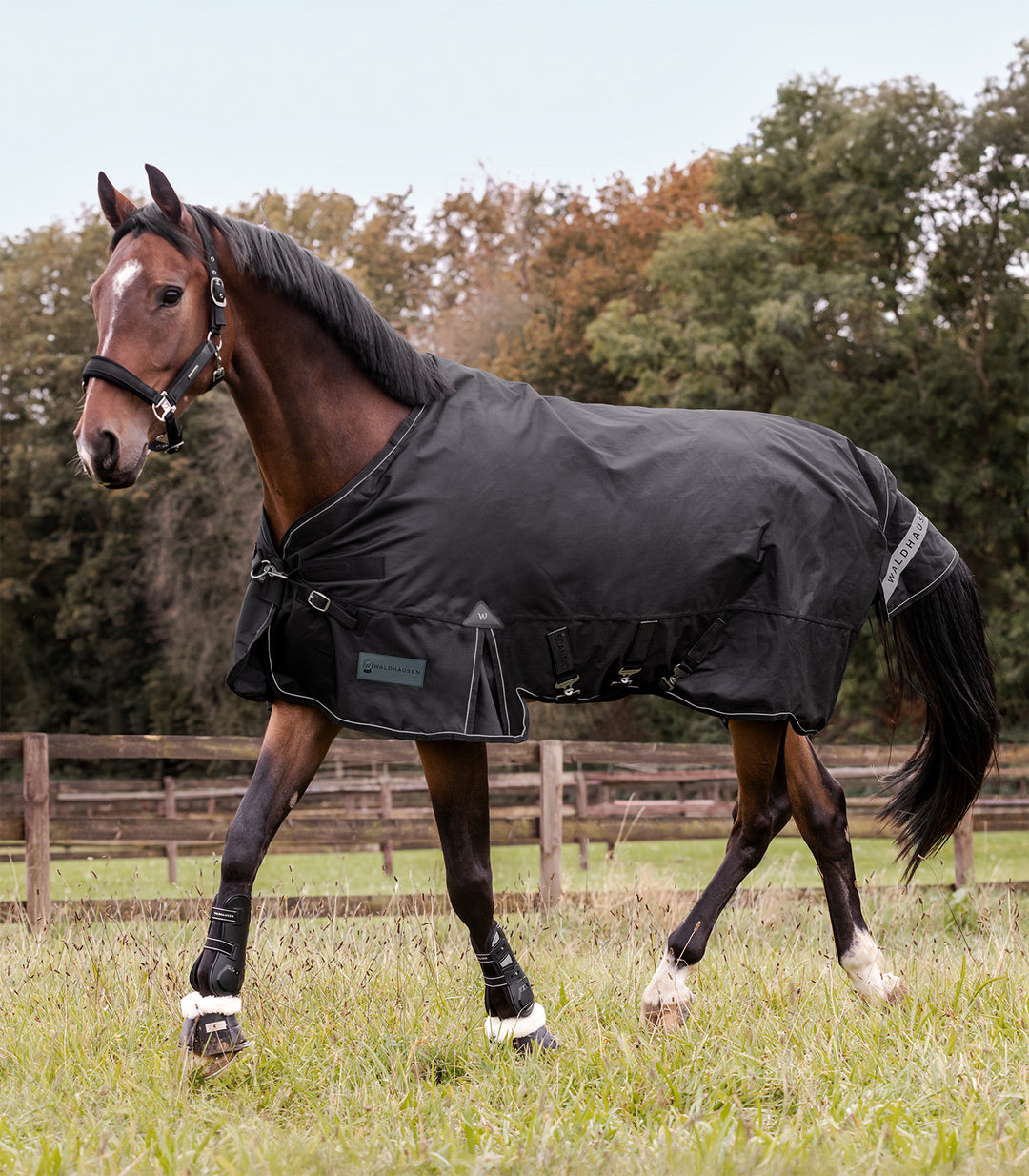 Waldhausen Scandic Multi-Layer Turnout dækken, 250g/100g