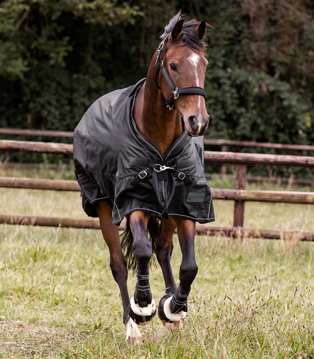 Waldhausen Scandic Multi-Layer Turnout dækken, 250g/100g