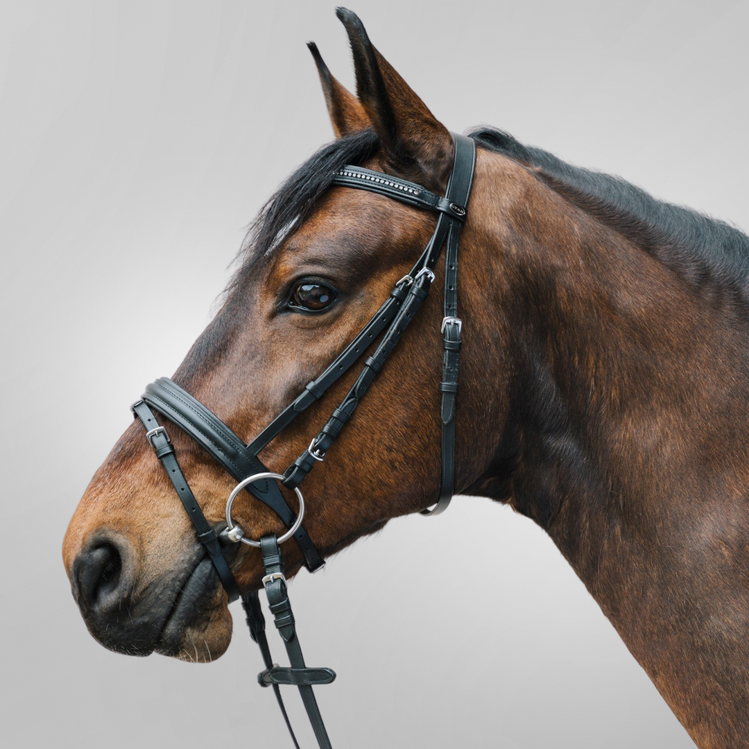 STAR Bridle Diamond