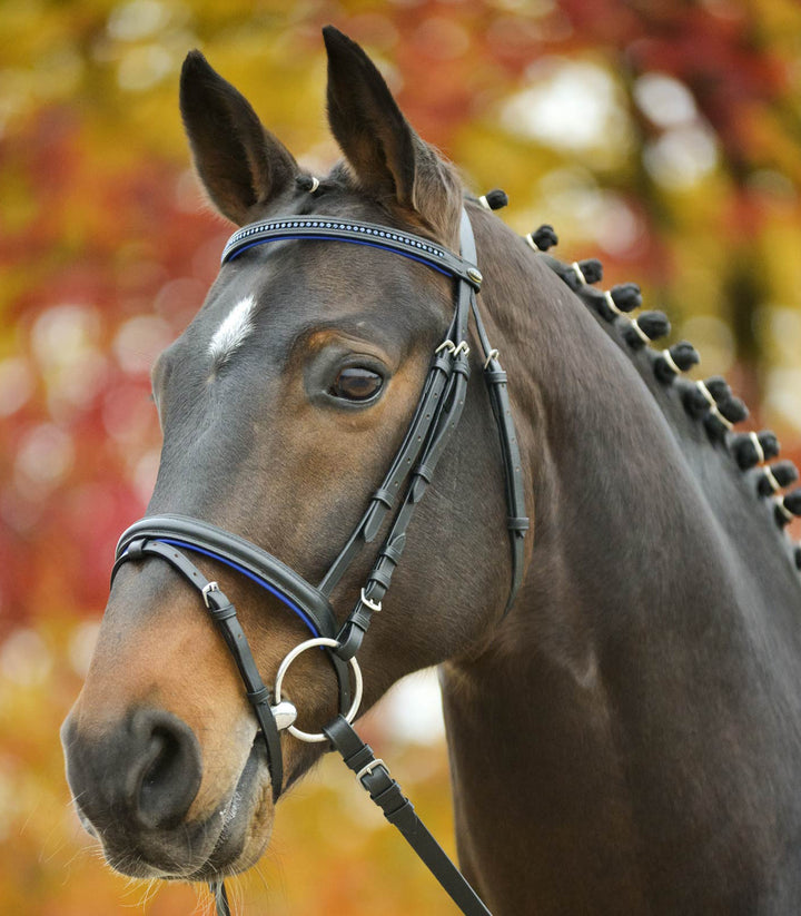 STAR Diamond trense
