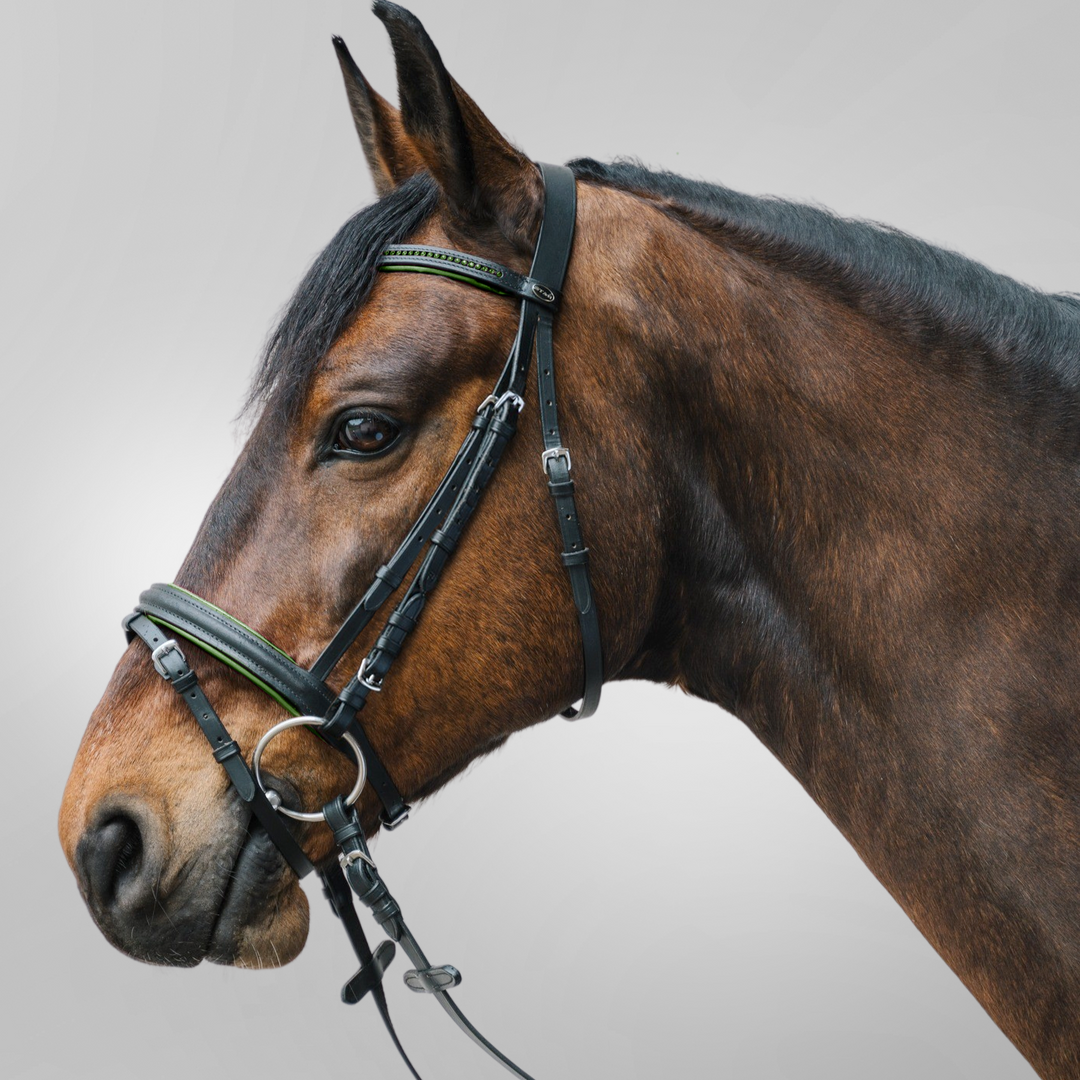 STAR Bridle Diamond