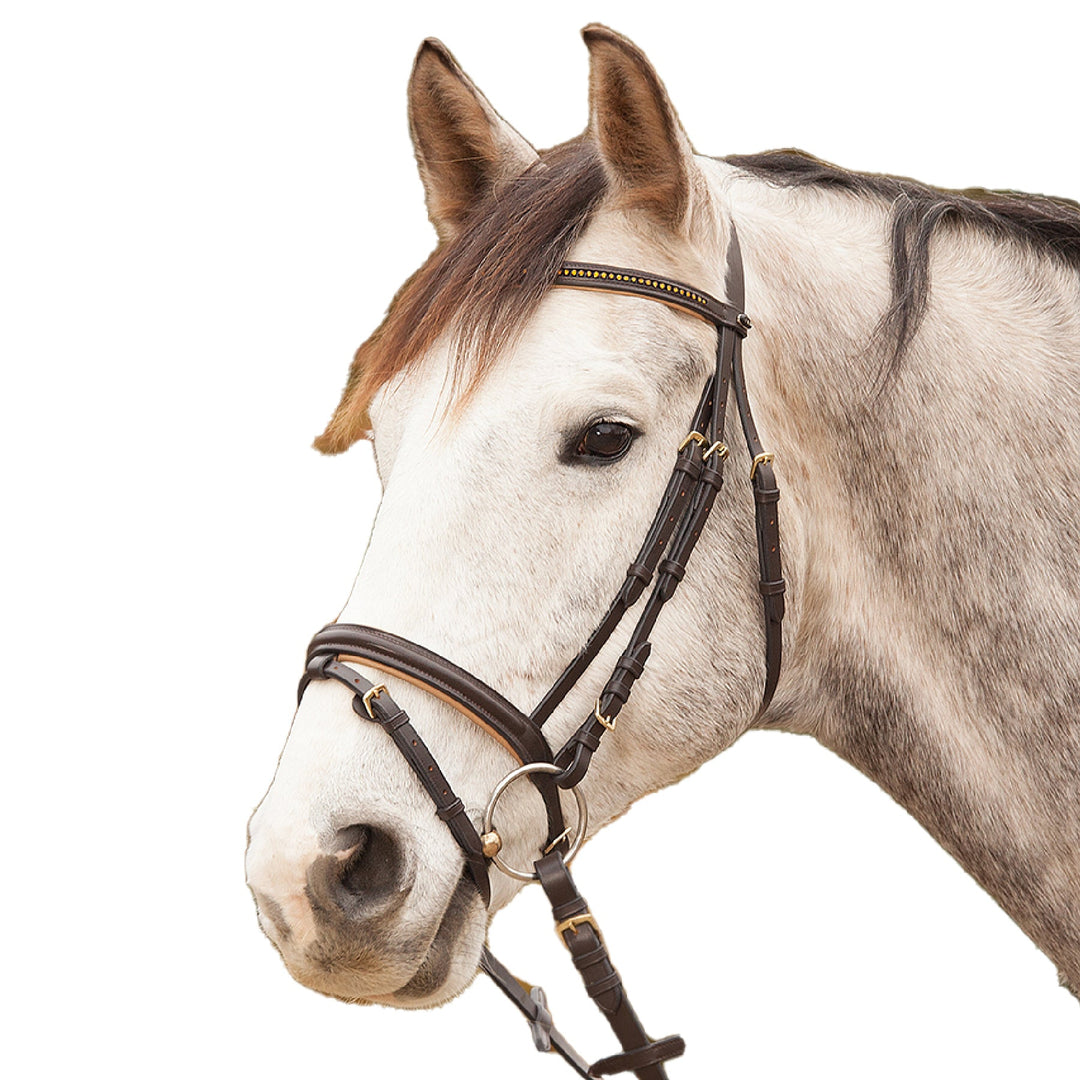 STAR Bridle Diamond