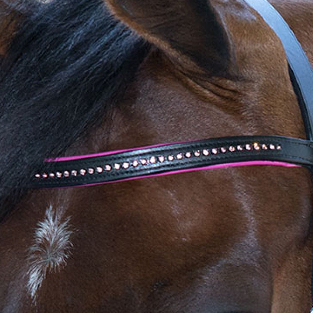 STAR Bridle Diamond