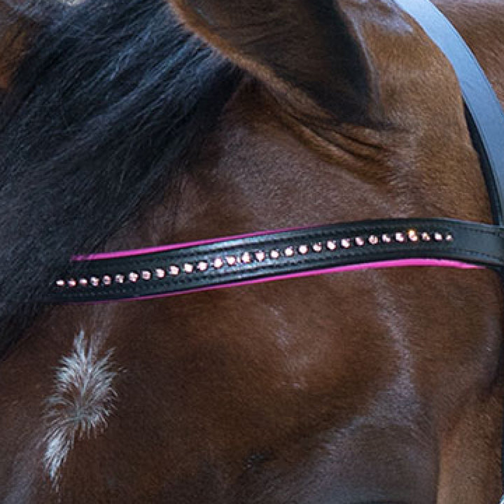 STAR Bridle Diamond