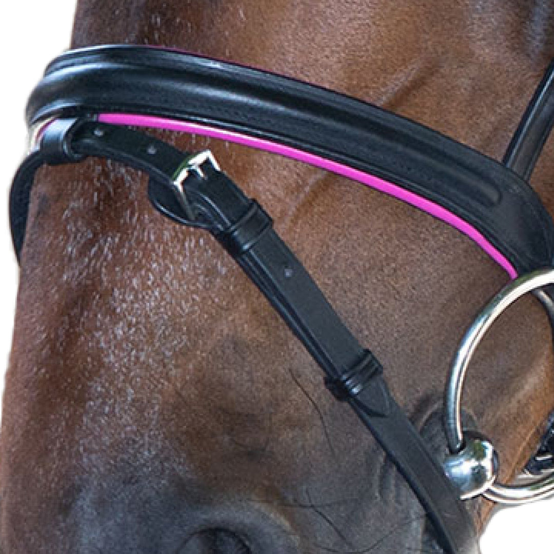 STAR Bridle Diamond