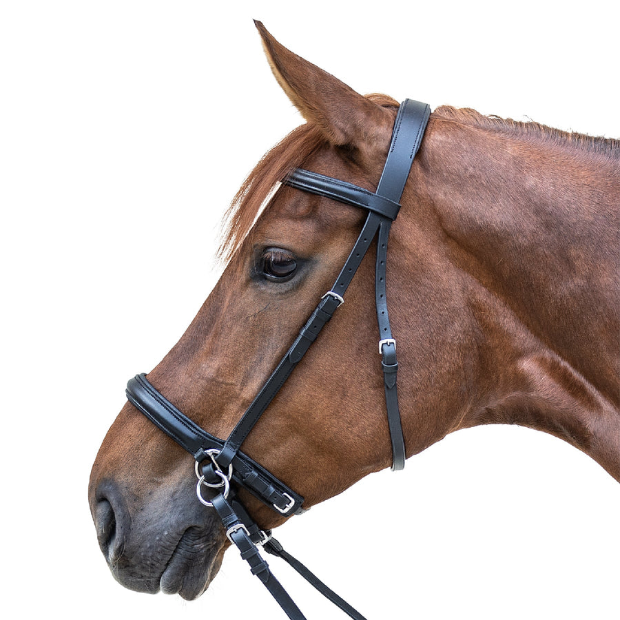 STAR Bitless Bridle