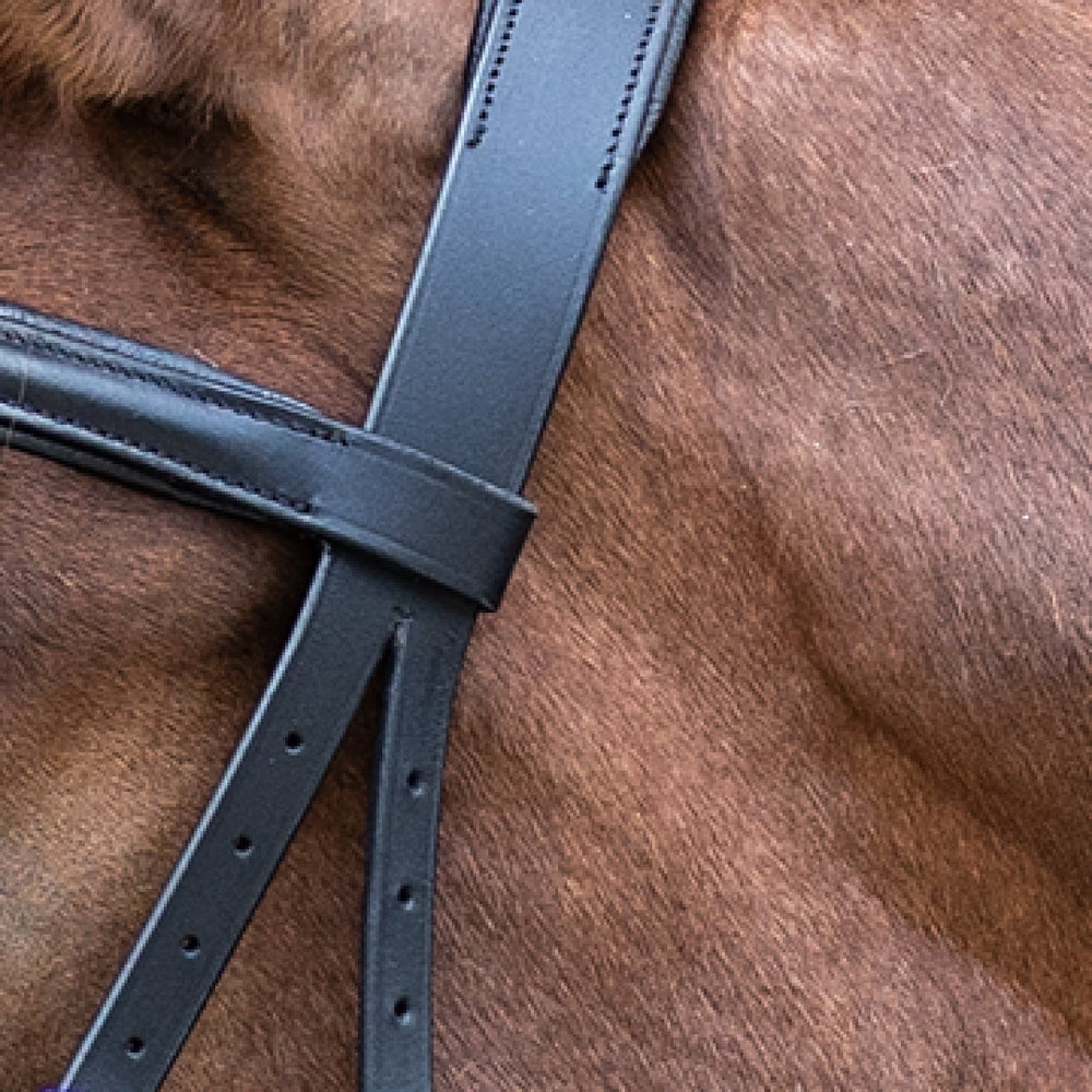 STAR Bitless Bridle