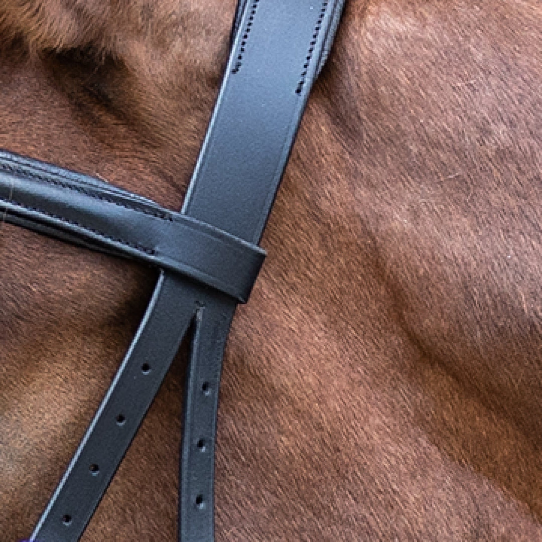STAR Bitless Bridle