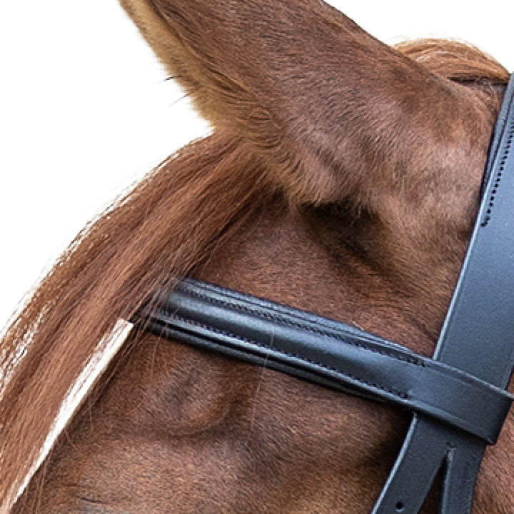 STAR Bitless Bridle
