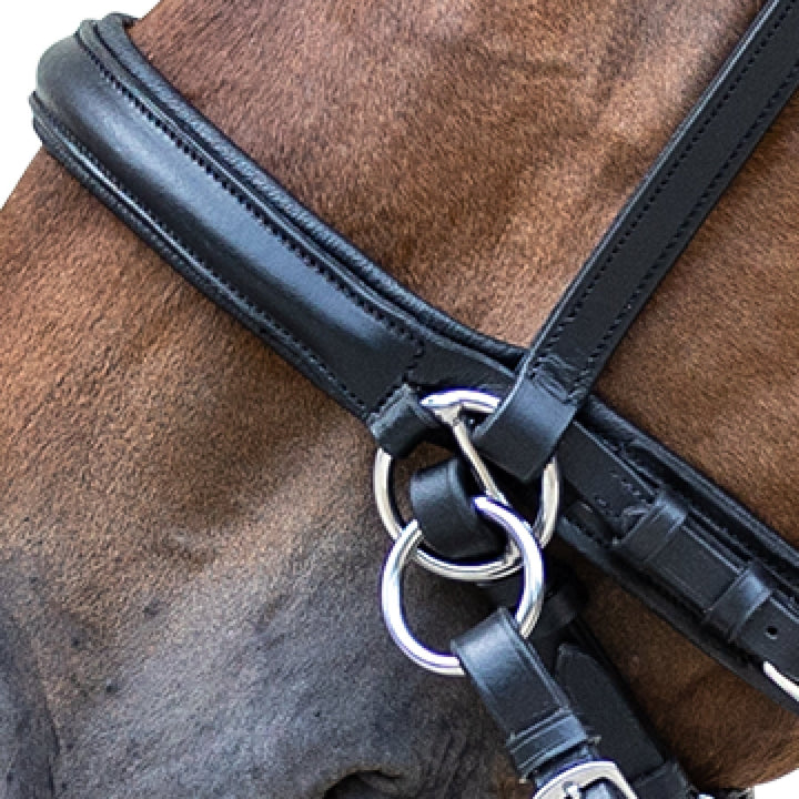 STAR Bitless Bridle
