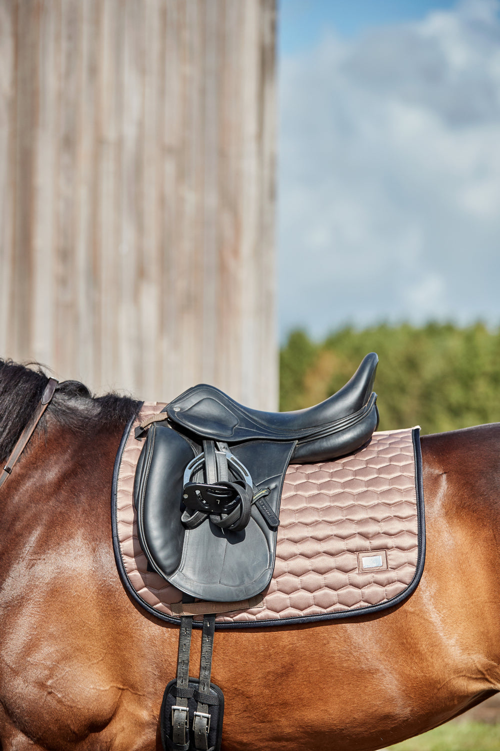 HorseGuard Kora dressurunderlag