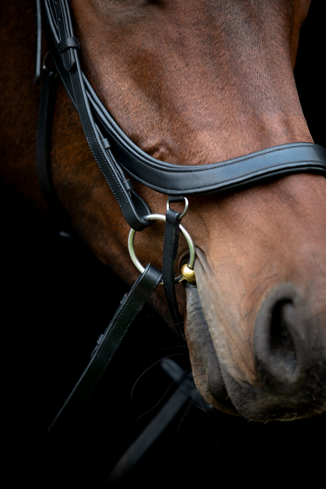 HorseGuard Vinja anatomisk trense