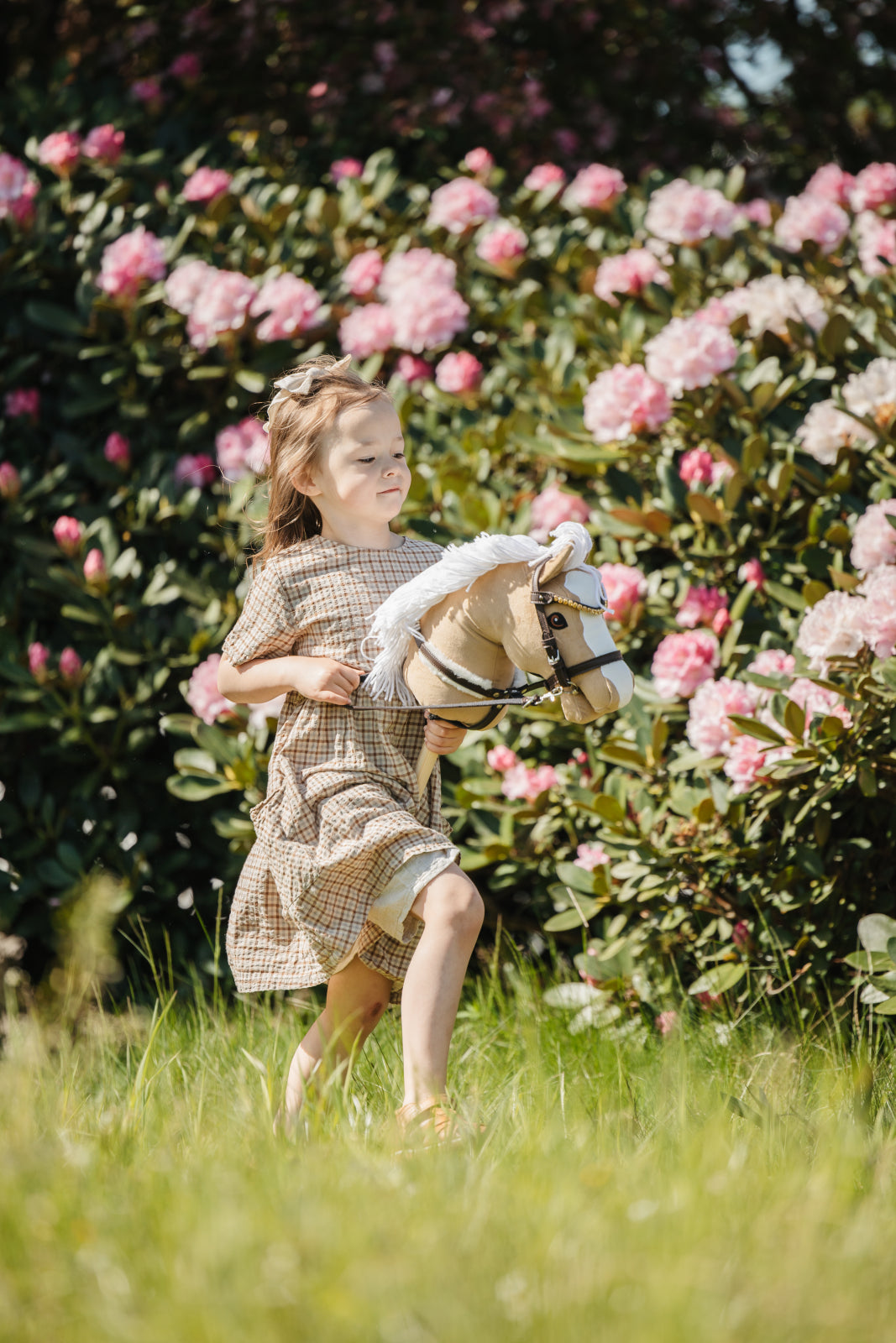 My Hobby Horse martingal