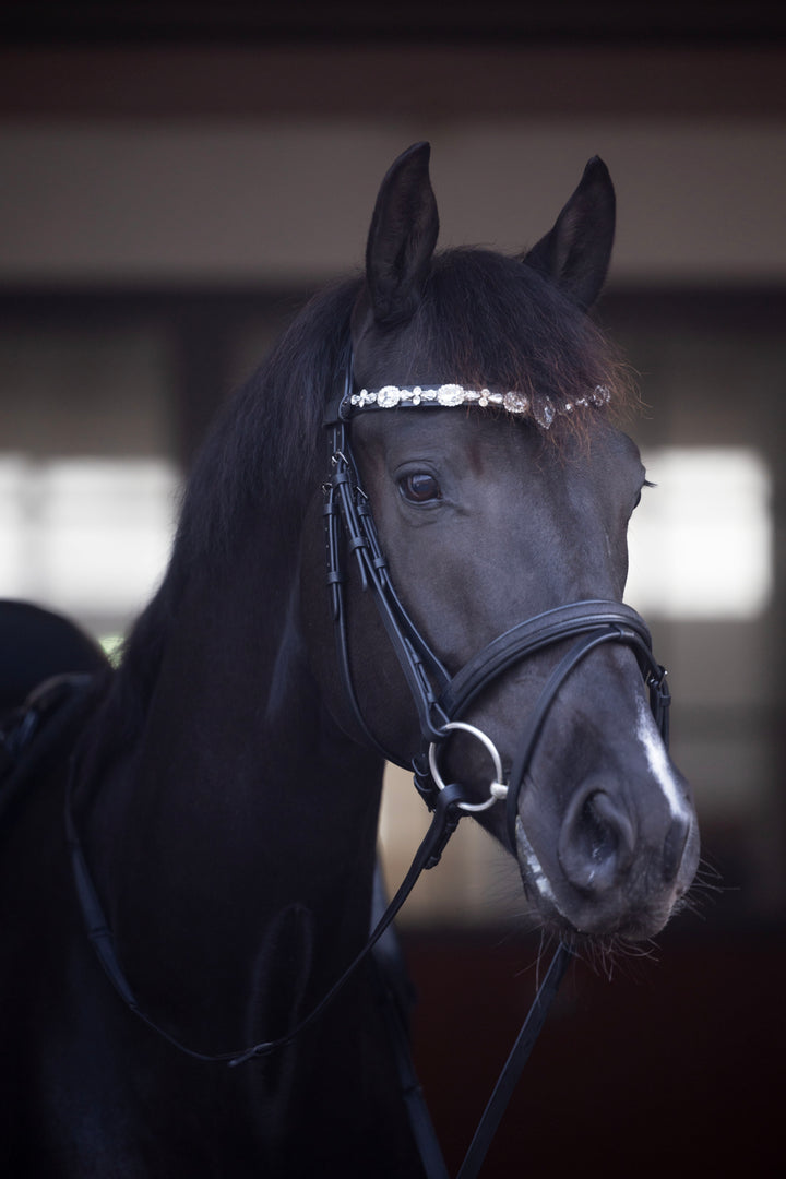 HorseGuard Sunnywale pandebånd