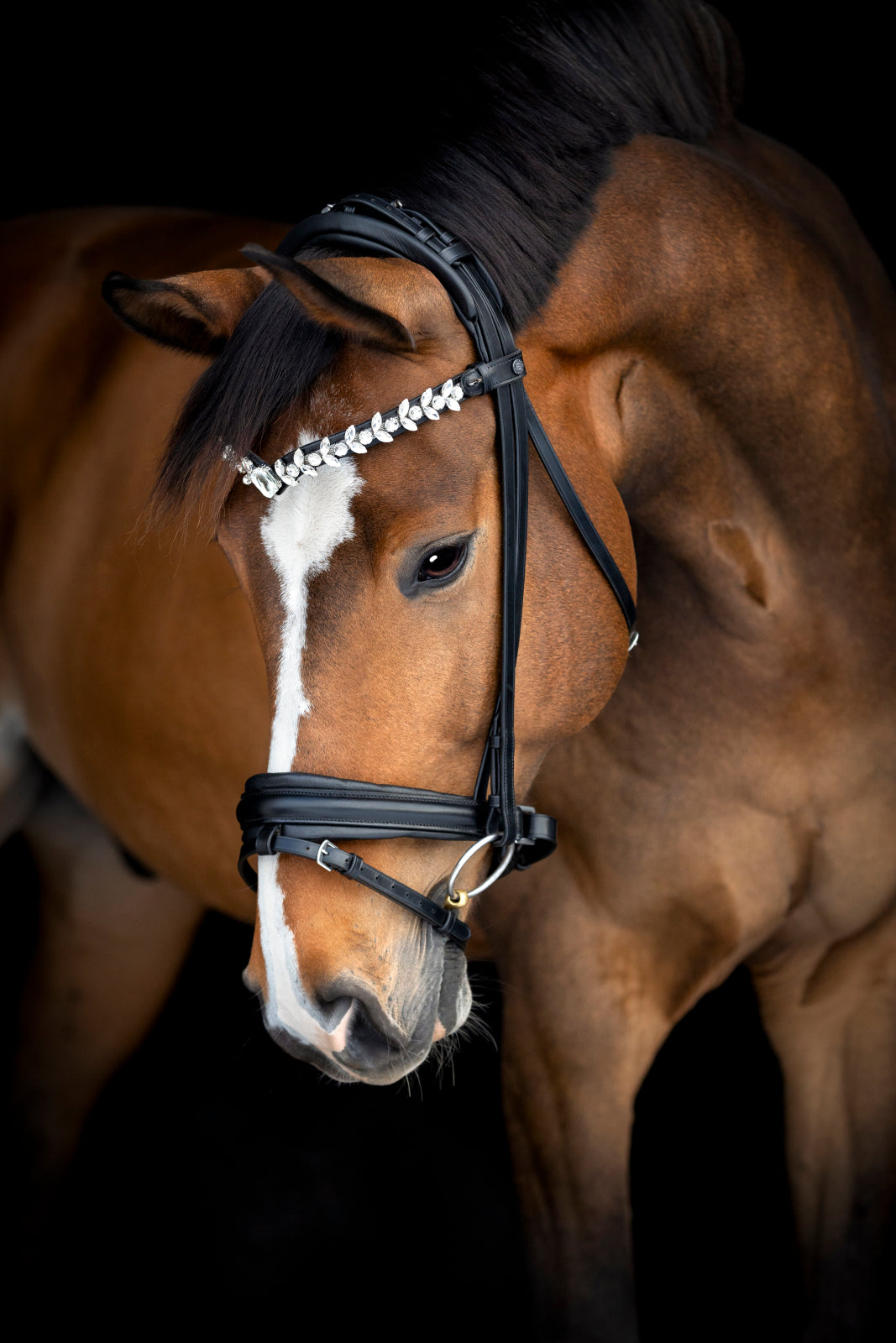 Catago Arlington trense