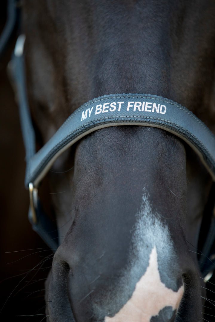 HorseGuard Malva grime med tekst
