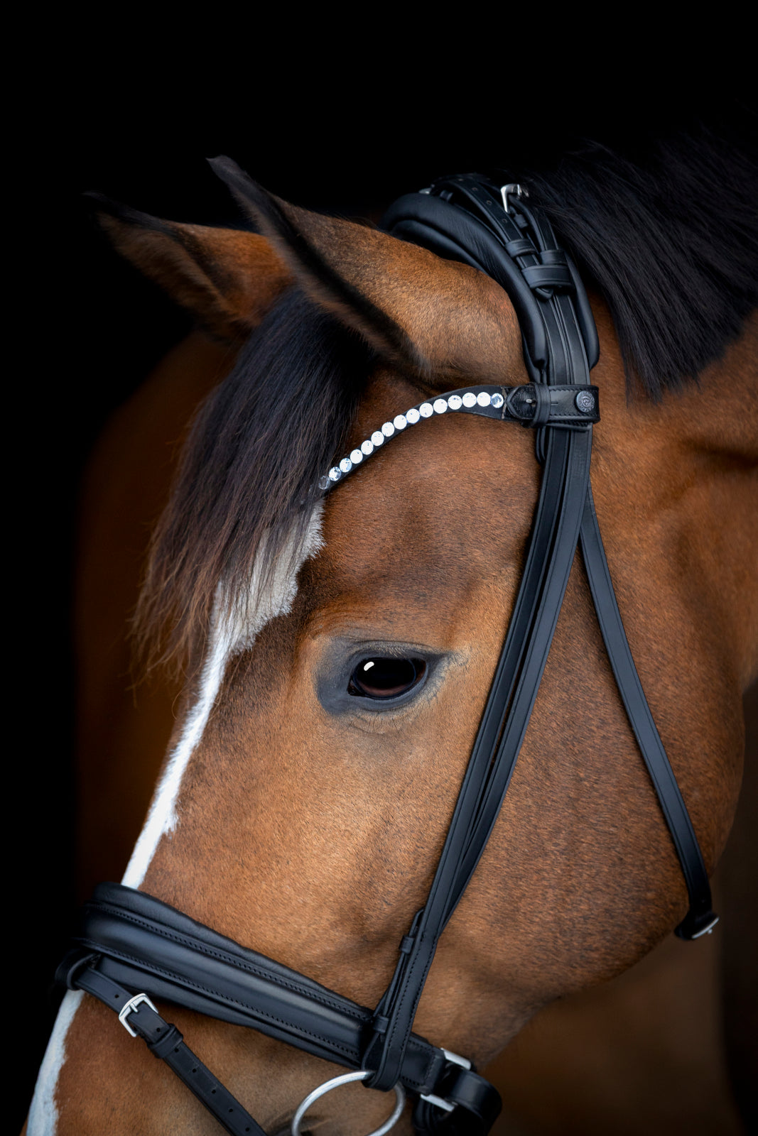 Catago Arlington trense