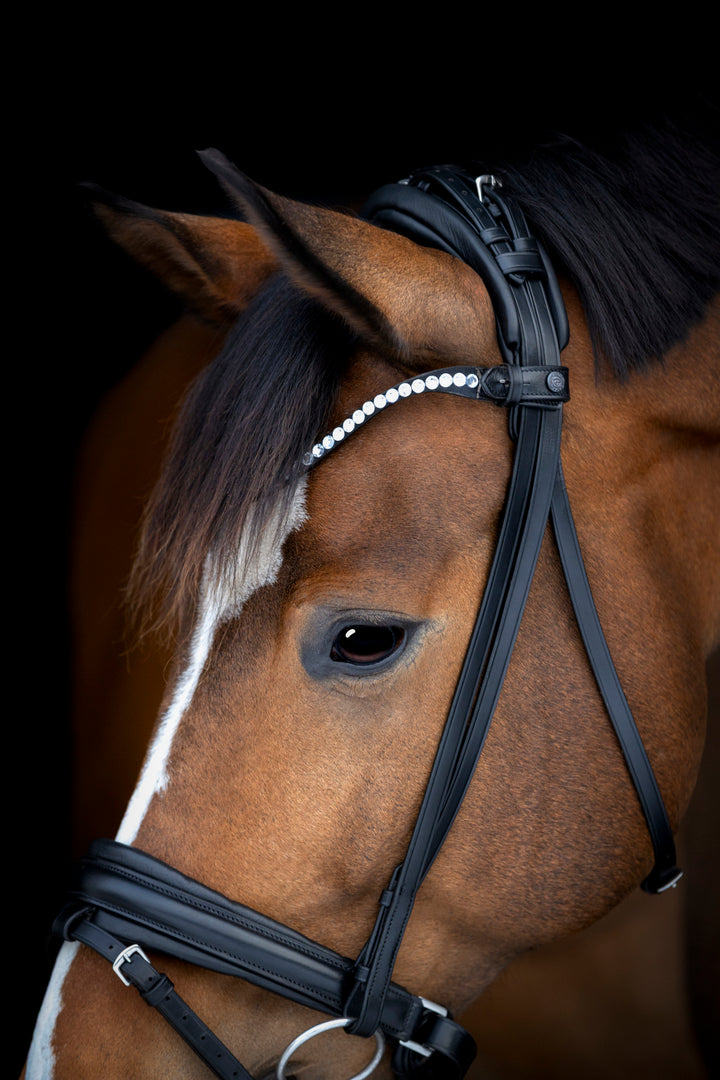 Catago Arlington trense