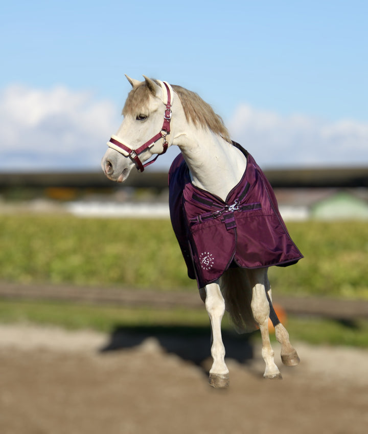 RD EquiComfort V Turnout dækken inklusiv hals og liner 100g + 200g +300g