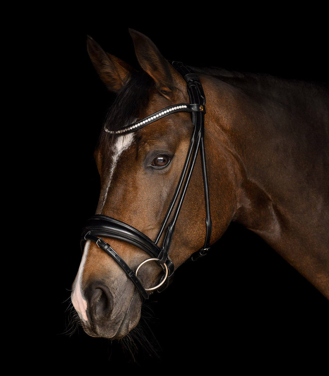 Waldhausen S-Line Grace trense