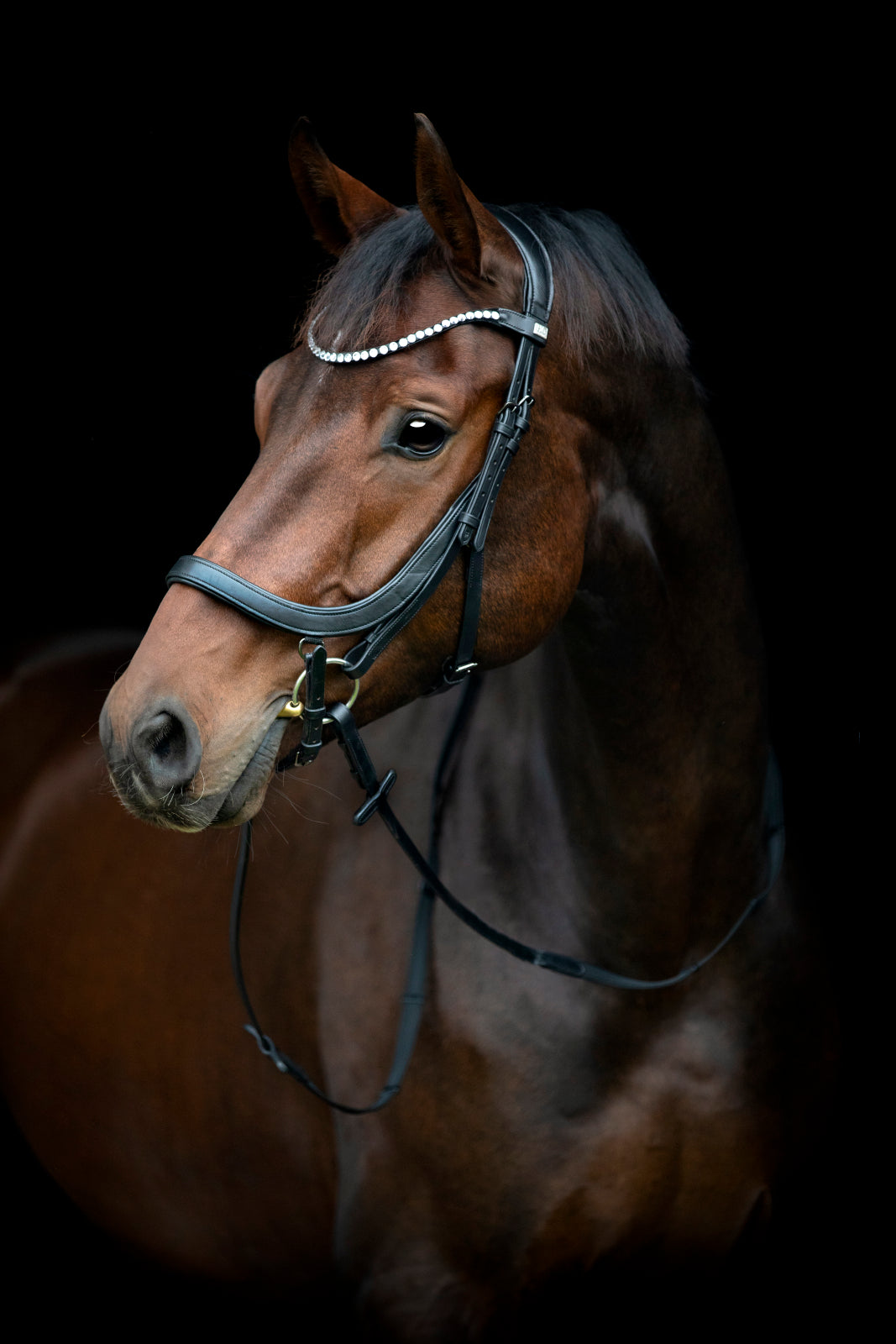HorseGuard Vinja anatomisk trense