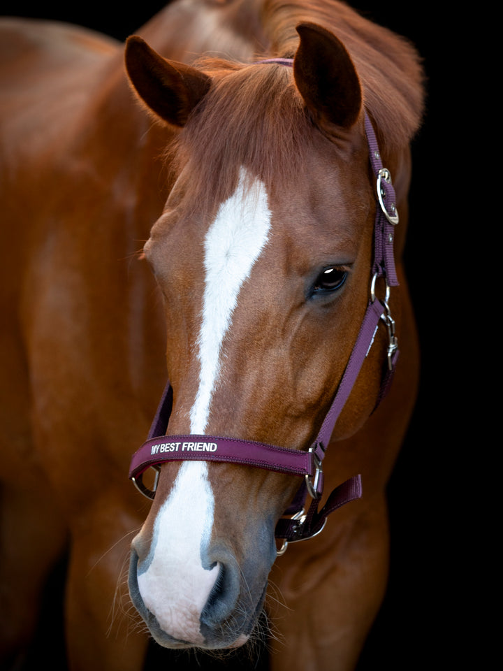 HorseGuard Malva grime med tekst