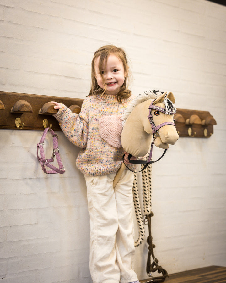 My Hobby Horse Fjord